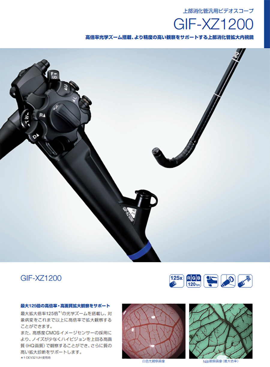 経口内視鏡検査について